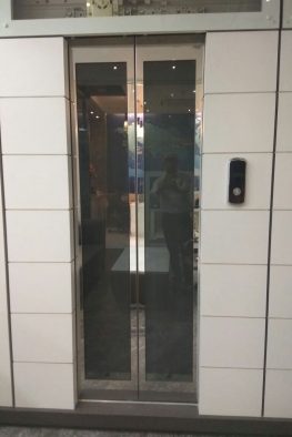 Glass Auto Door Passenger Elevator